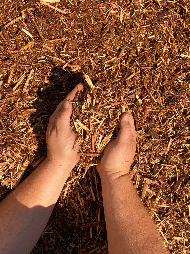 Image of bark of tree mulched with Smith Brothers Mulch