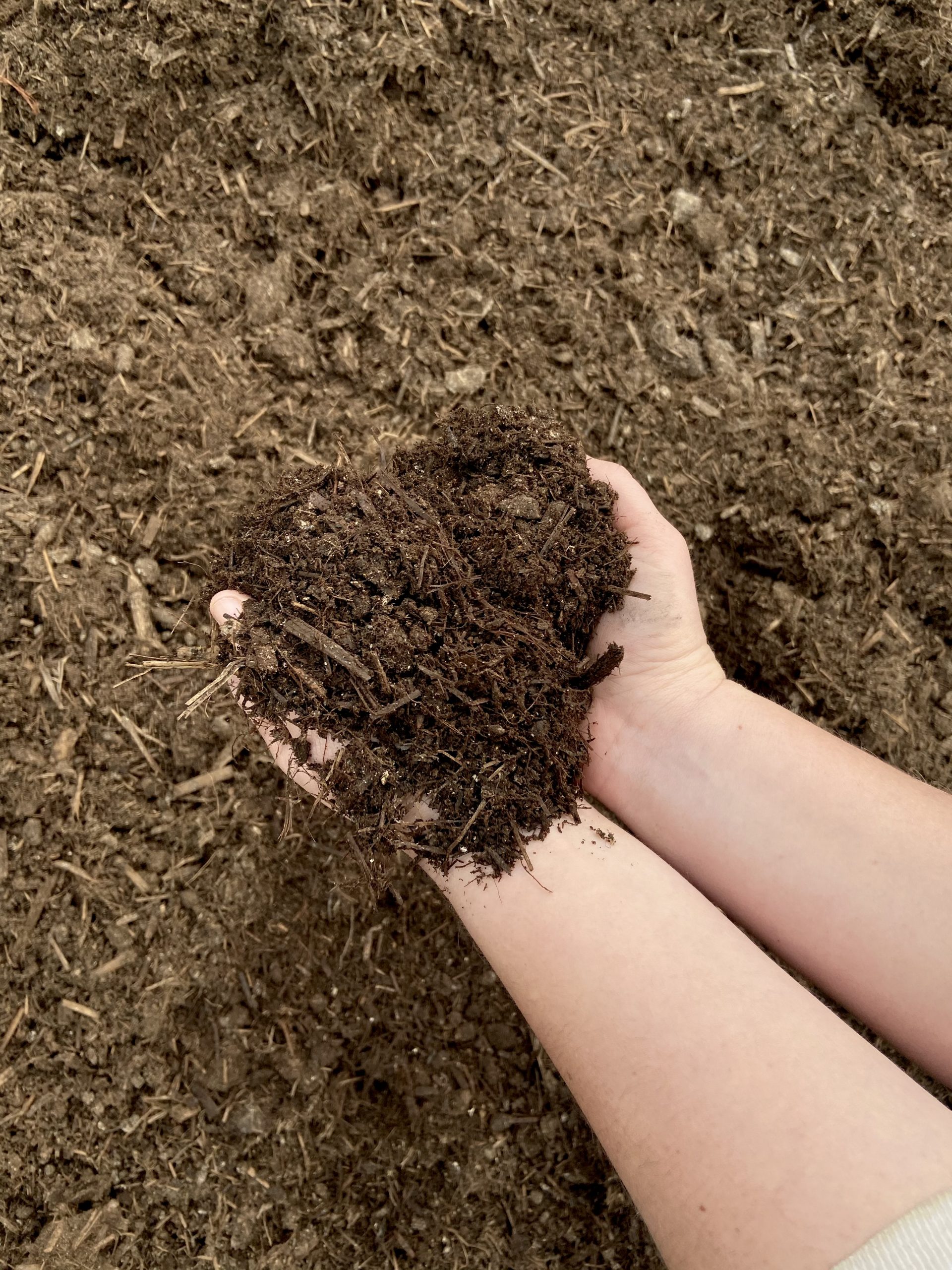 Mushroom Compost Smith Brothers Mulch