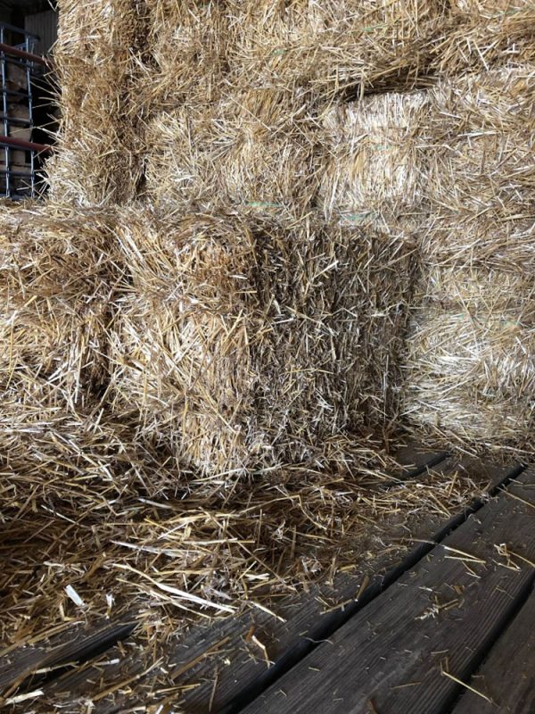 Animal Bedding for Sale Medina, Ohio Smith Brothers Mulch